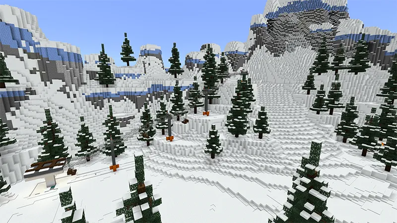 Millionaire Winter Vacation