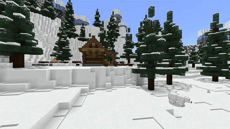 Millionaire Winter Vacation