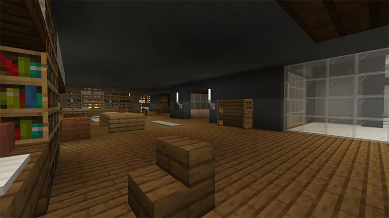 Millionaire Winter Vacation