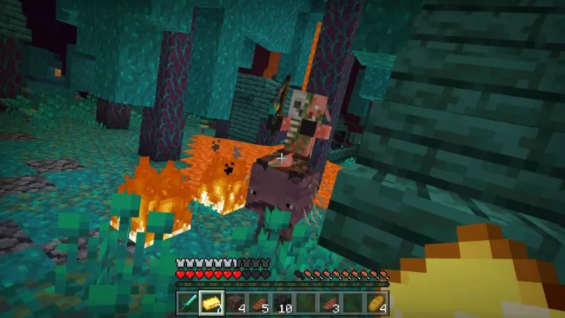 World's Largest Nether Village