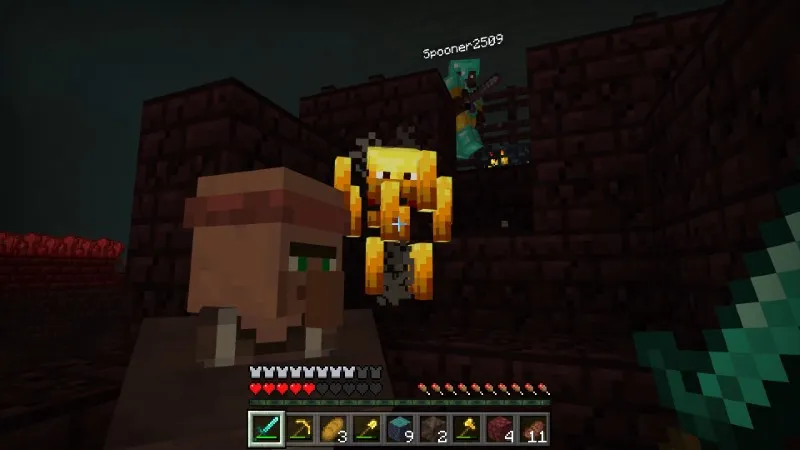 World's Largest Nether Village