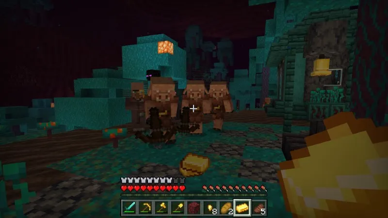 World's Largest Nether Village