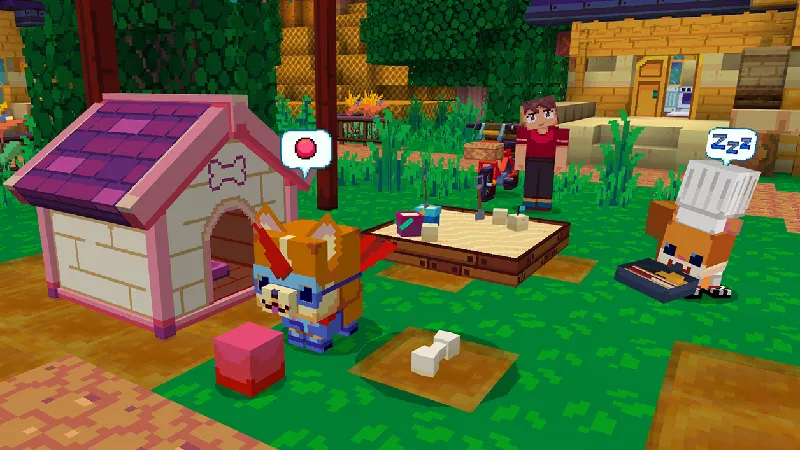 Pets Play