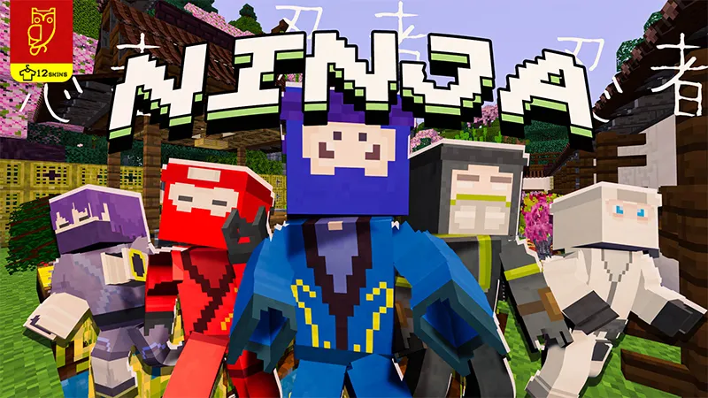 Ninja
