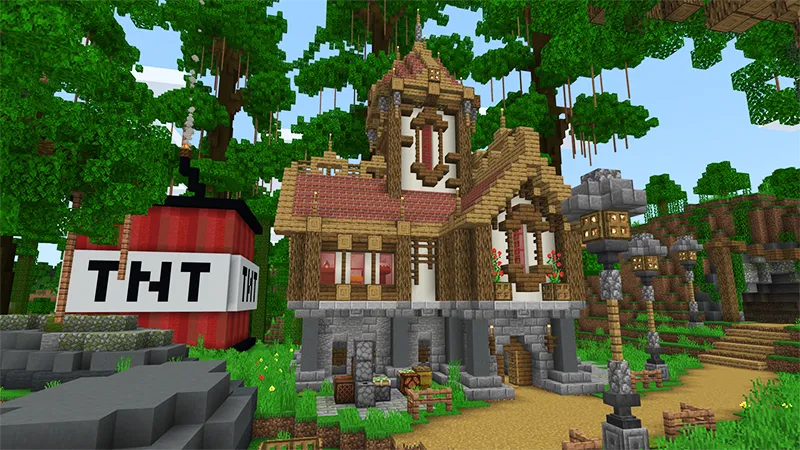TNT Village