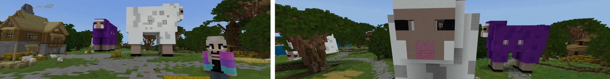 How to LIVE INSIDE A SHEEP!