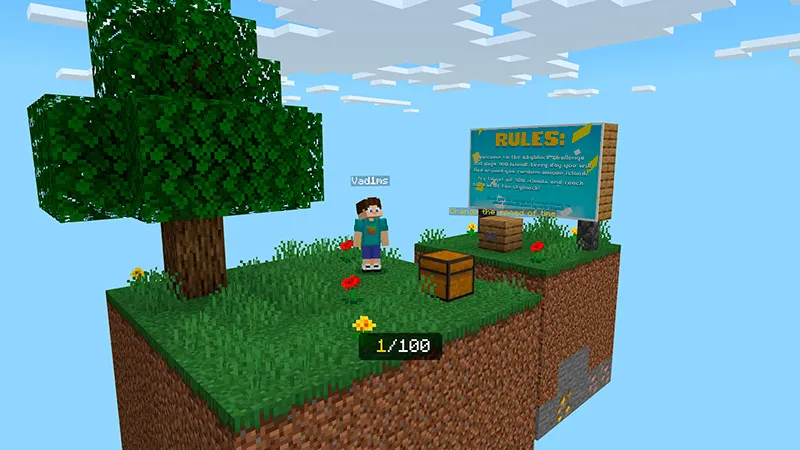 Skyblock 100 Days, 100 Islands