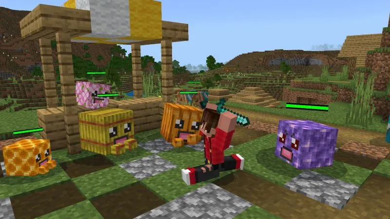 Pet Blocks