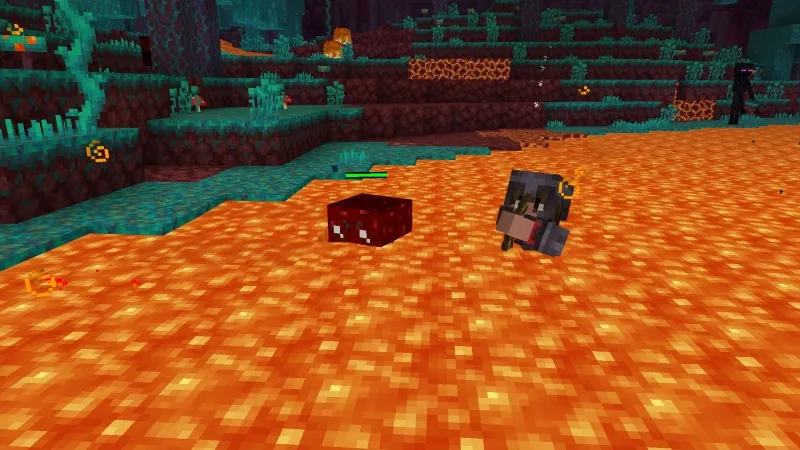 Pet Blocks