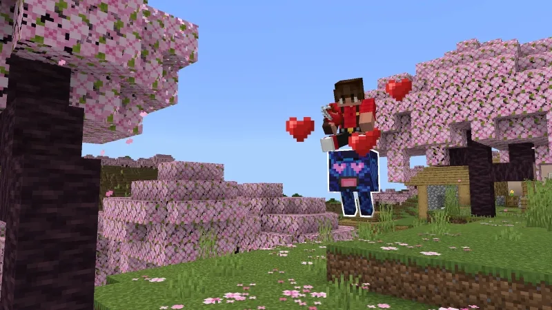 Pet Blocks