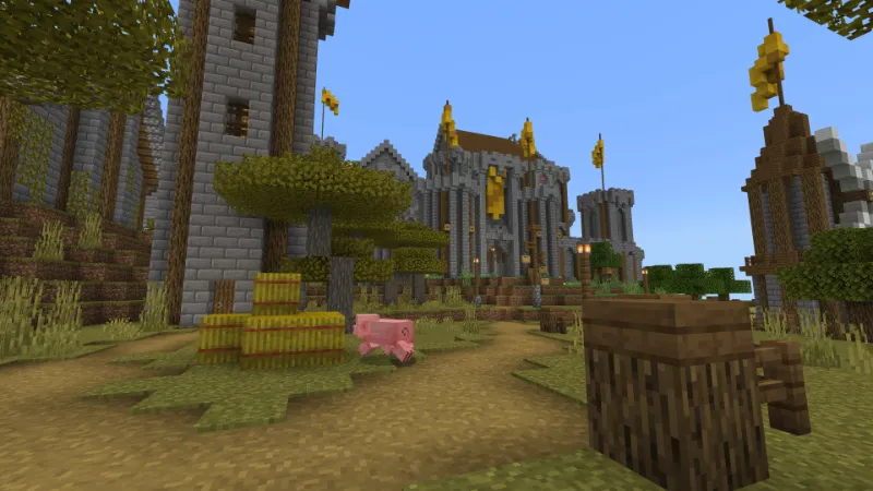Castle Outpost