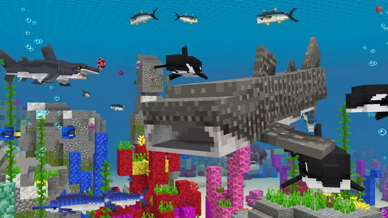 Ocean Expansion