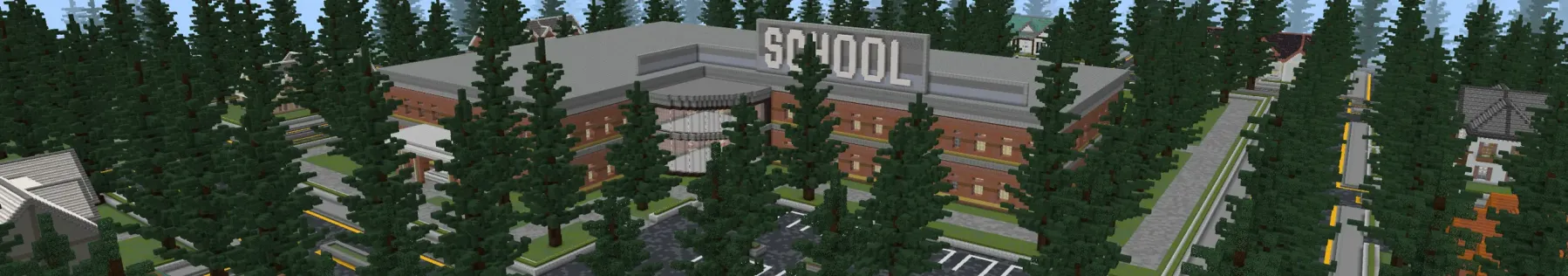 School Life