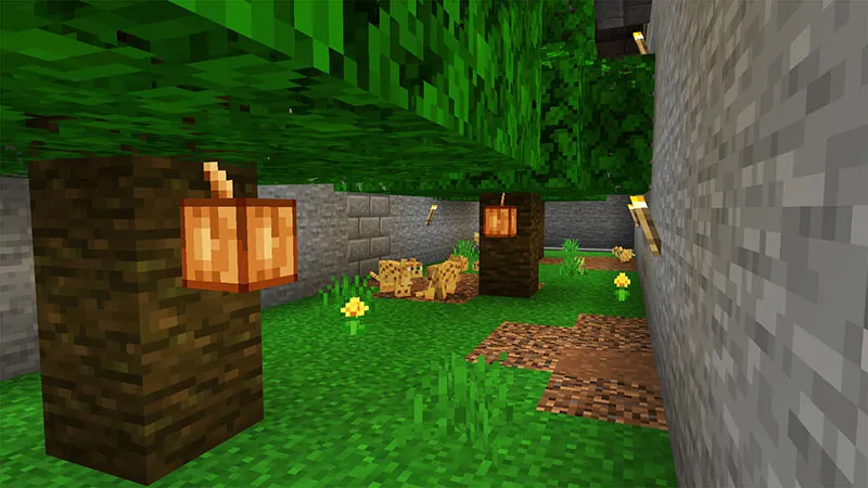Jungle Underground Base