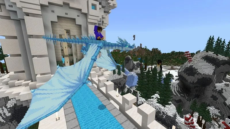Winter Dragons