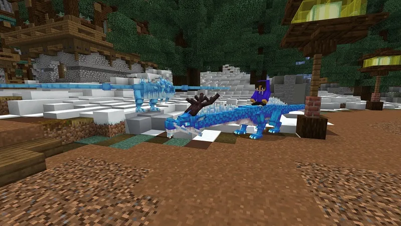 Winter Dragons