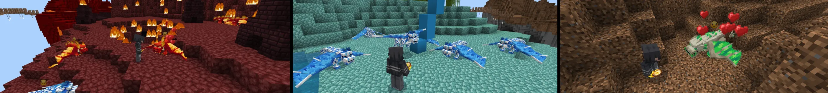 Dragon Pets