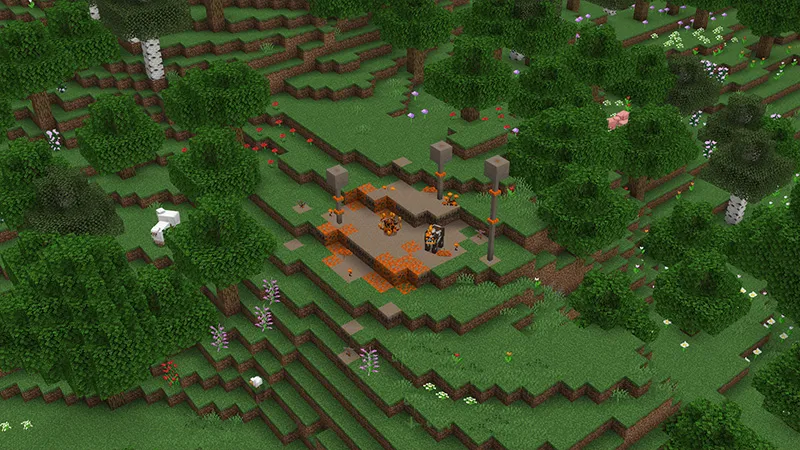 Fungus Infection Add-On