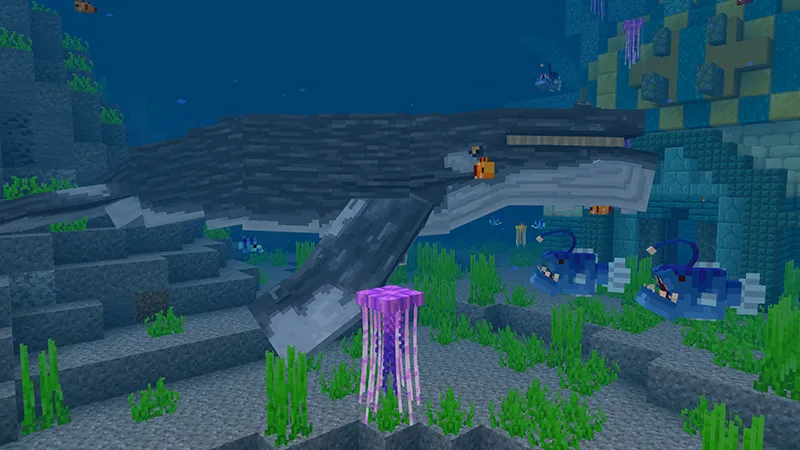 Ocean Life