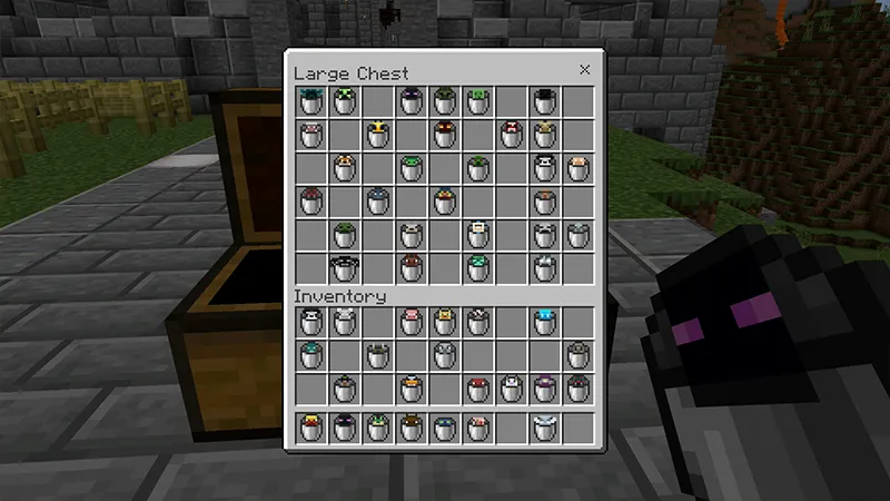 BUCKET+
