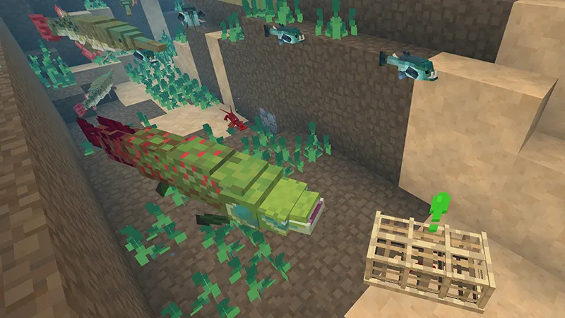 Aquatic Life: Fishing