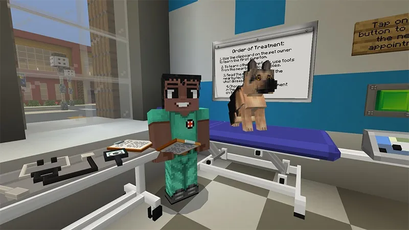 Life as a Vet