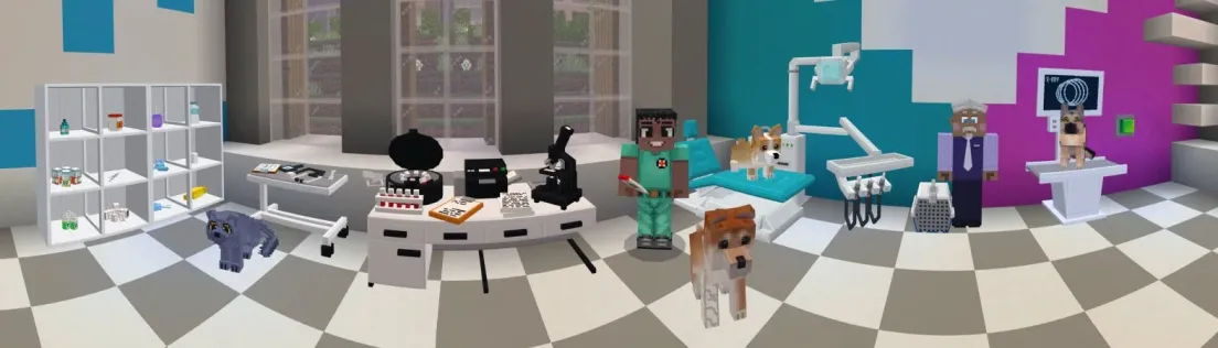 Life as a Vet