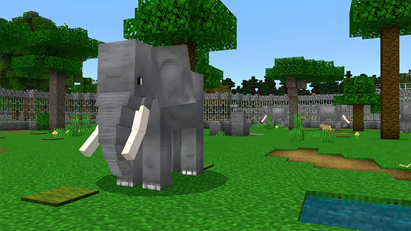 ZOO!