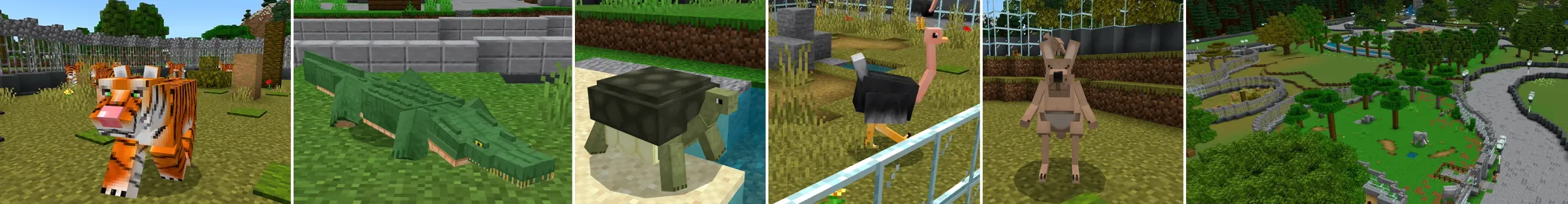 ZOO!