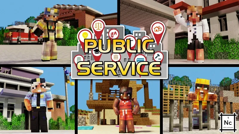 Public Service