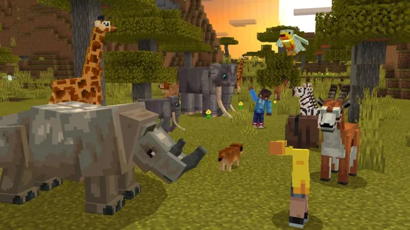 More Animals