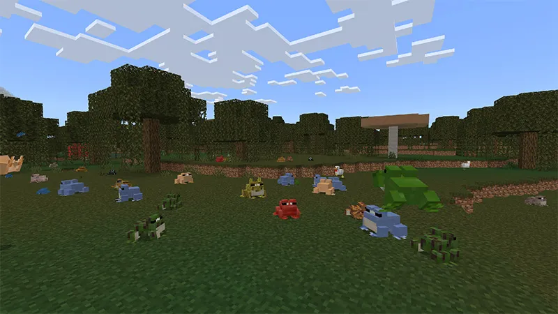 Frog Collector