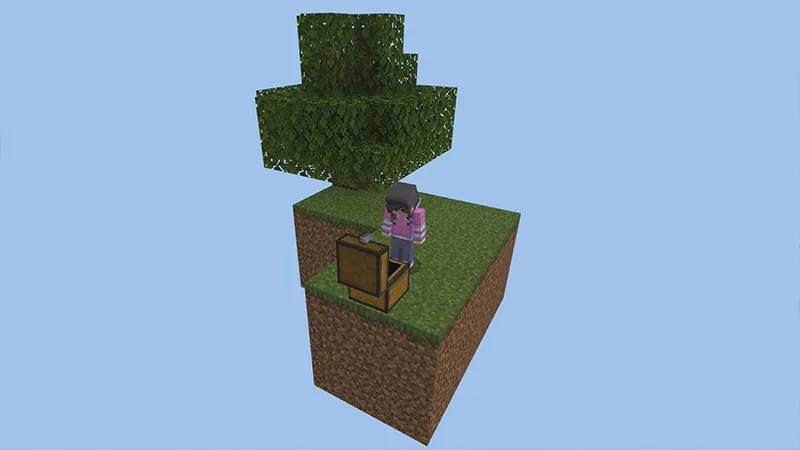 SKYBLOCK FUN!