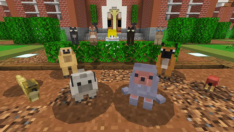 Lovely Pets