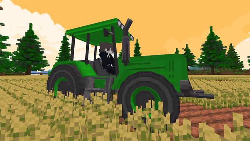 Farmer's Life