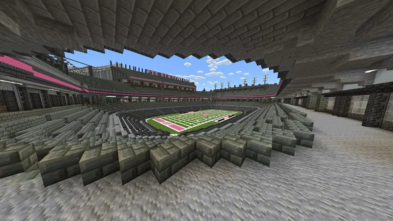 Pig State Stadium