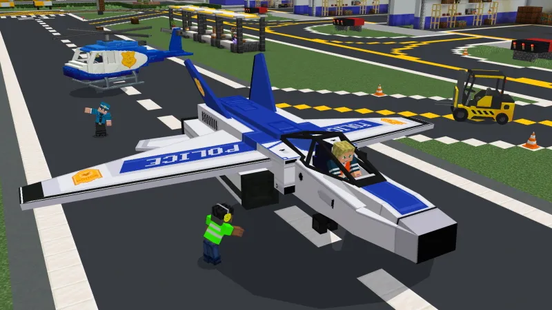 Flight Simulator