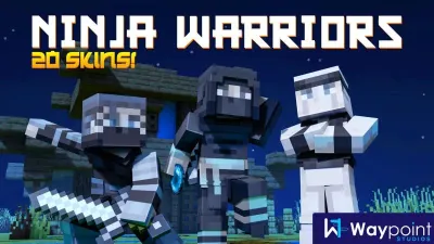 Ninja Warriors