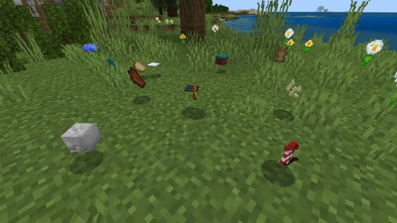 Random Drop Challenge