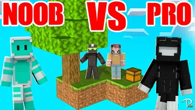 Skyblock NOOB VS PRO Skins