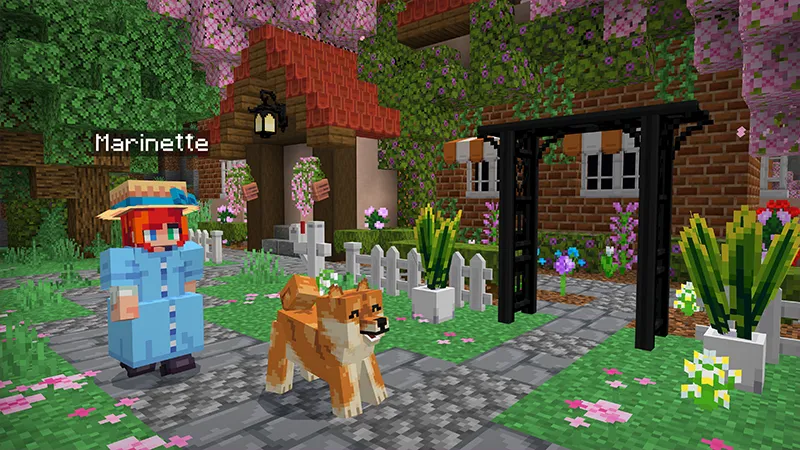 Cute & Cozy Pack