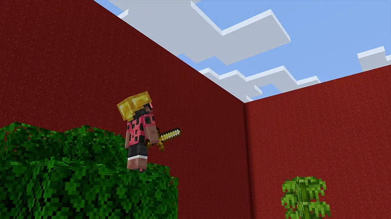 WALLS