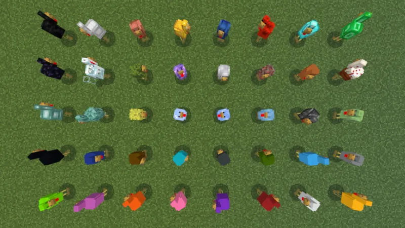 Chickens Plus