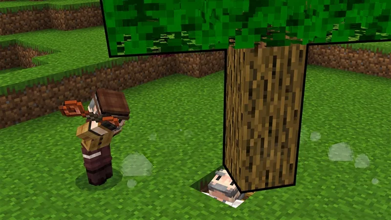 HIDDEN DOORS