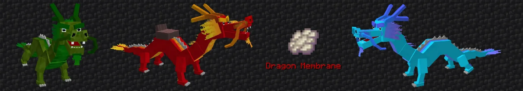 Free the Dragon