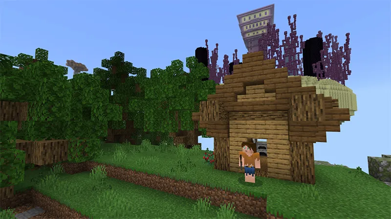 Skyblock Donuts