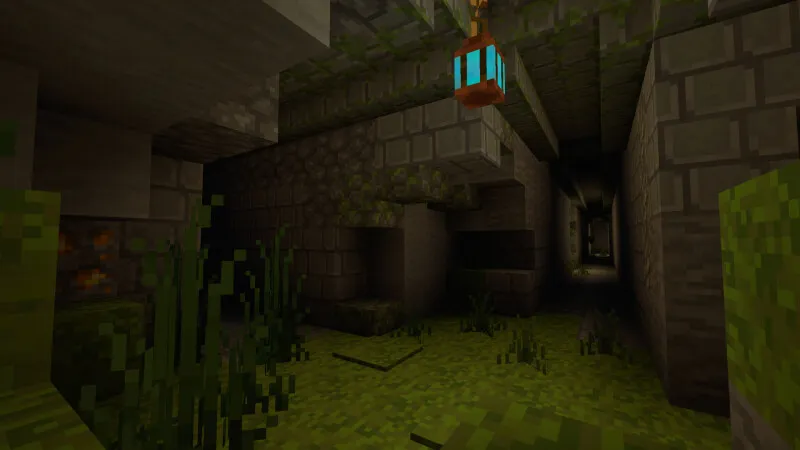 Jungle Immersion