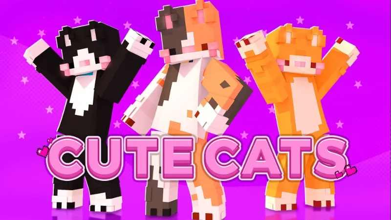 Cute Cats