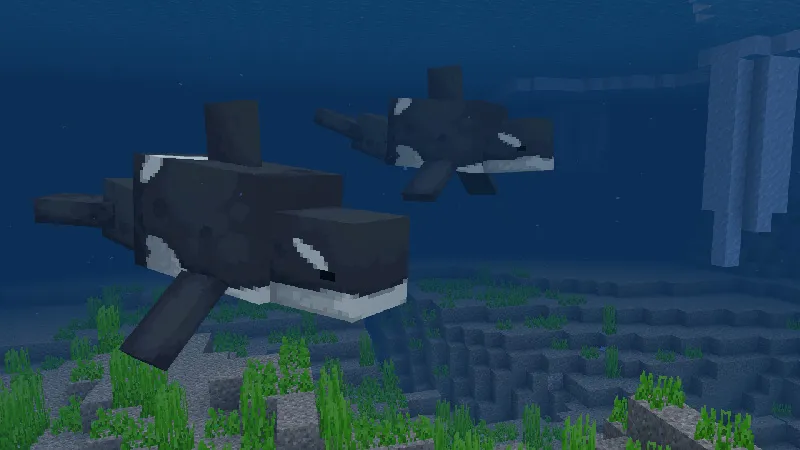 Aquatic Life Add-On