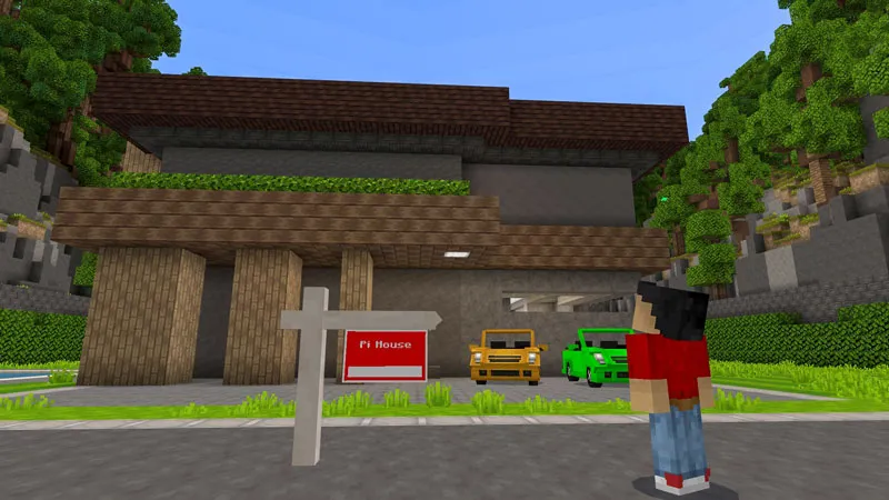 Modern Mansion Builder